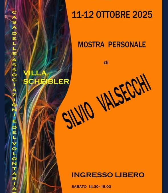 MOSTRA PERSONALE di SILVIO VALSECCHI